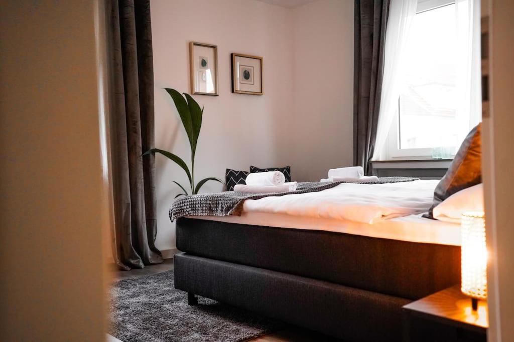 Green City Apartment *